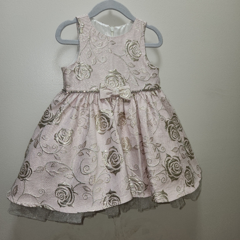 American Princess Blush and Gold Rose Dress Size 3T - Picture 2 of 9
